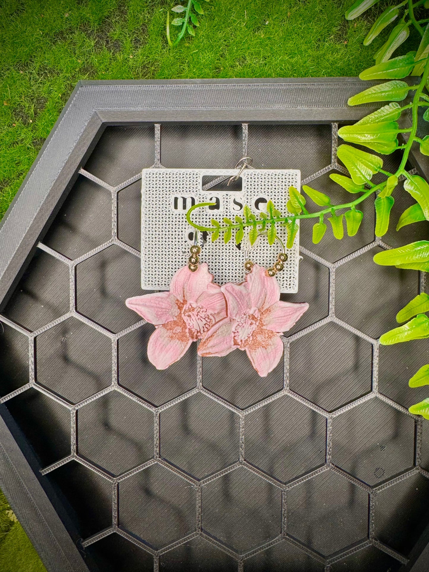 Blush Orchid