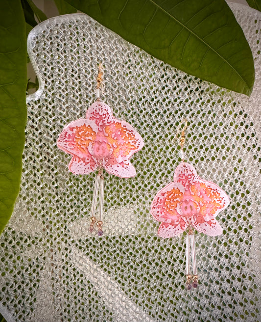 Orchid Whispers