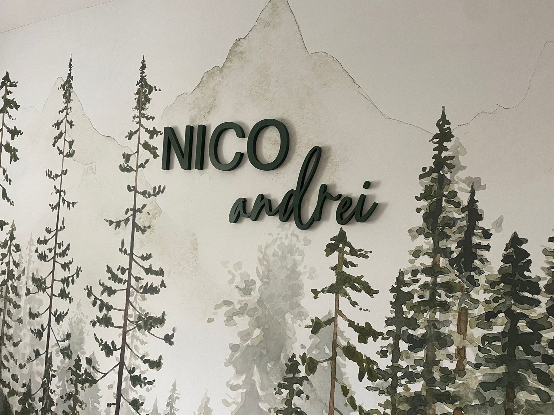 Silhouettes of trees with the names 'Nico' and 'Andrei' on a textured background